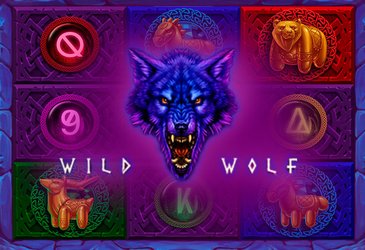Wild Wolf